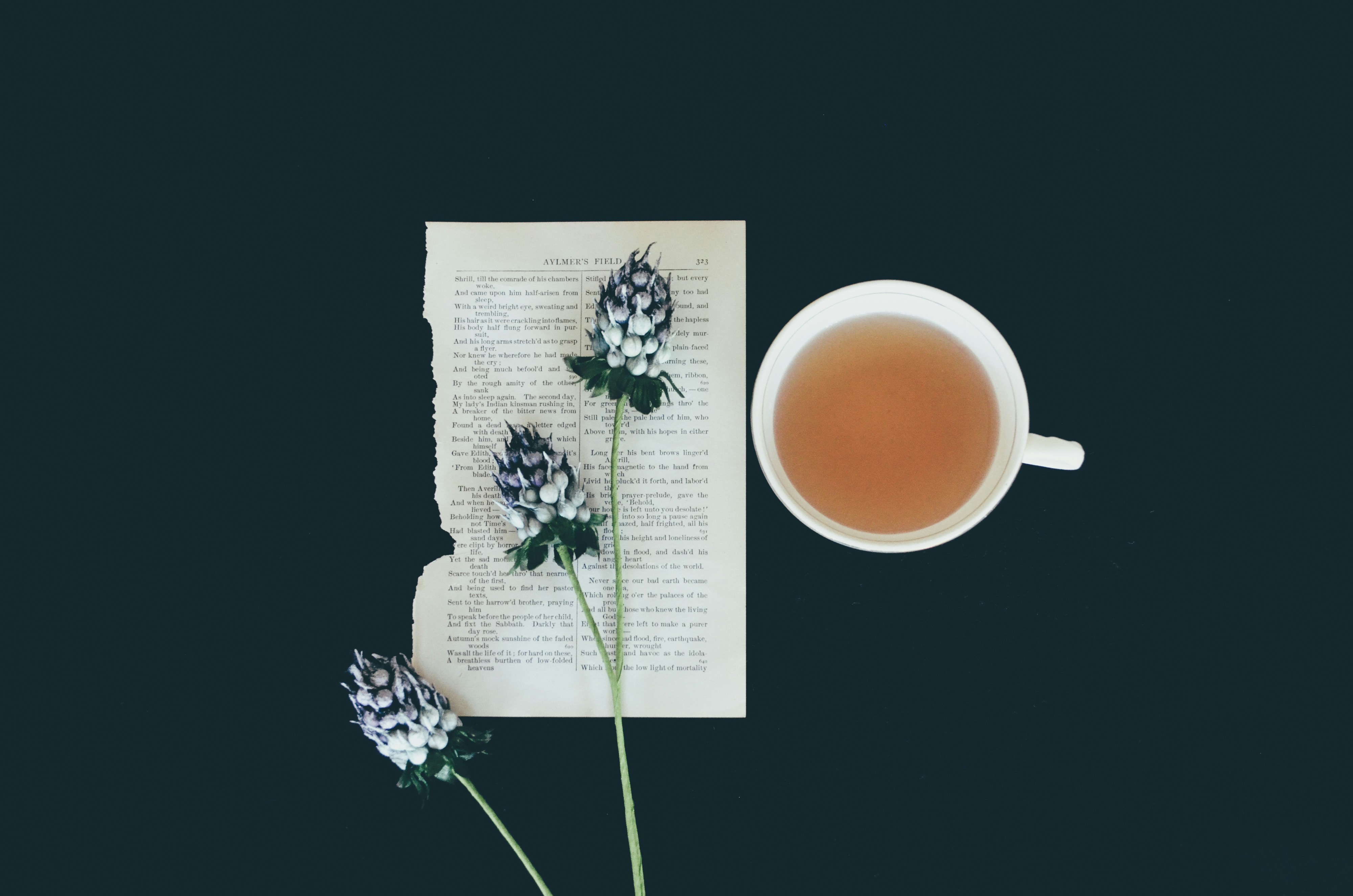 广州茶馆